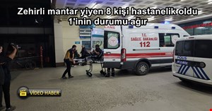 Düzce'de mantardan 8 kişi zehirlendi 1 kişinin durumu ağır