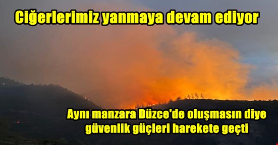 Düzce’de polis ve jandarma ekipleri ormanlık alanlarda uygulama başlattı