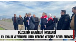 Düzce’nin arazisi ve araziye en uygun ürünlerin yetişeceği alanlar incelendi