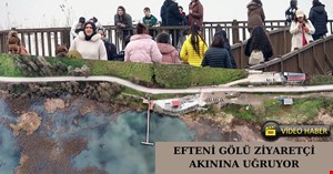 Efteni Gölü ziyaretçilerini ağırlıyor