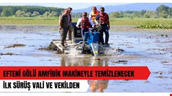 Efteni Gölü’nde saz ve otları temizlediler