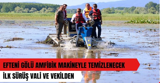 Efteni Gölü’nde saz ve otları temizlediler