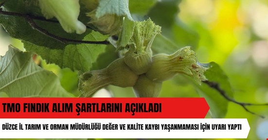 Fındığın değer kaybetmemesi için uyarı yapıldı