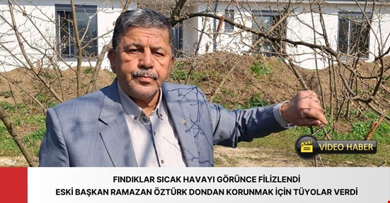 Fındık üreticisine 'don' uyarısı