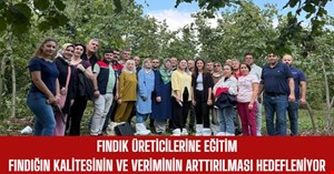 Fındıkta verim ve kalite arttırılacak
