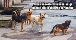 Hamile kadın köpeklerden kaçarken düştü