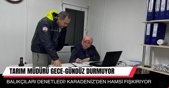 Karadeniz’de hamsi bolluğu! Tarım müdürü gece denetimine çıktı