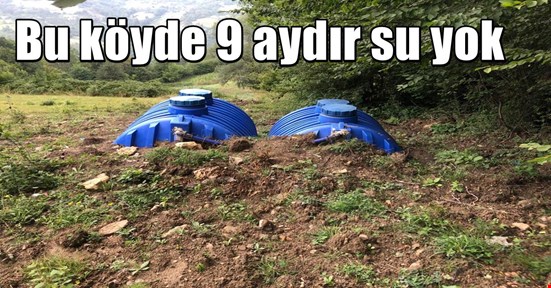 Kaynaşlı Altunköy Susuz