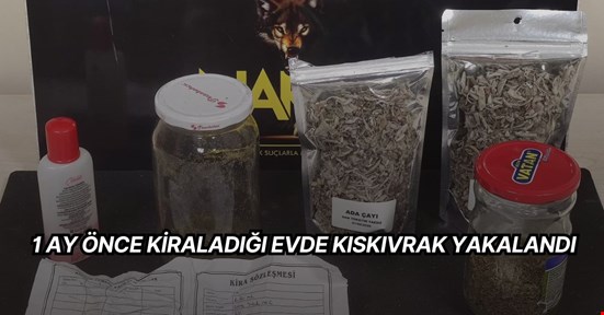 Kültür Mahallesi’ni mesken tutmak için 1 ay önce ev kiralayan müptezel yakalandı