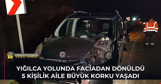 Seyir halindeyken üzerine tomruk düşen hafif ticari araç zarar gördü