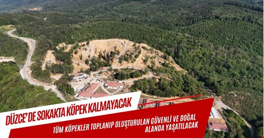 Sokak hayvanları güvenli ve doğal ortamlarında yaşayacak