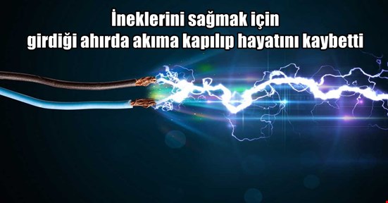 Süt sağmak için girdiği ahırda elektrik akımına kapılan kadın hayatını kaybetti