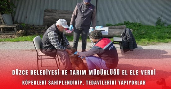 Tarım ve belediye el ele verdi175 köpek yerinde sahiplendirdi