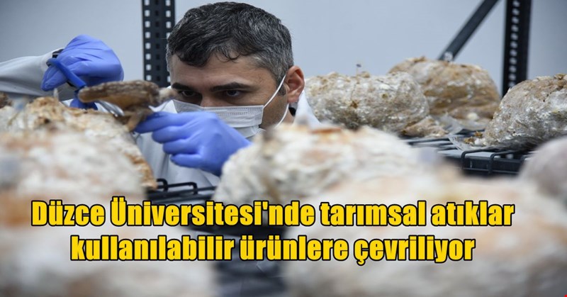 Tarımsal atıklar ürüne dönüşüyor