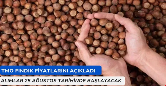 TMO fındık fiyatlarını açıkladı