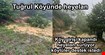 Tuğrul köyünde heyelan yolları kapattı