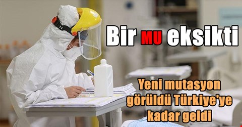 Türkiye'ye kadar geldi iki kişide görüldü