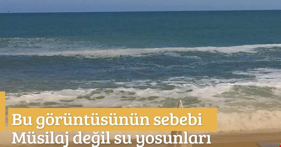 Valilik açıkladı! Köpüklenmenin nedeni müsilaj değil su yosunları