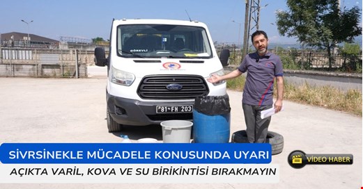 Yaz aylarında sinek uyarısı! Bir bardak su 100 sivrisineğe yuva olabiliyor