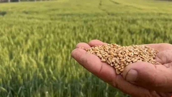 Bolu Ziraat Odası'ndan çiftçilere büyük fırsat!