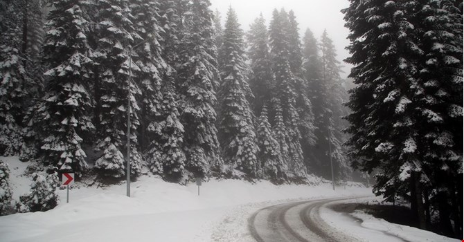 Ilgaz Dağı'nda kar yağışı etkili oluyor