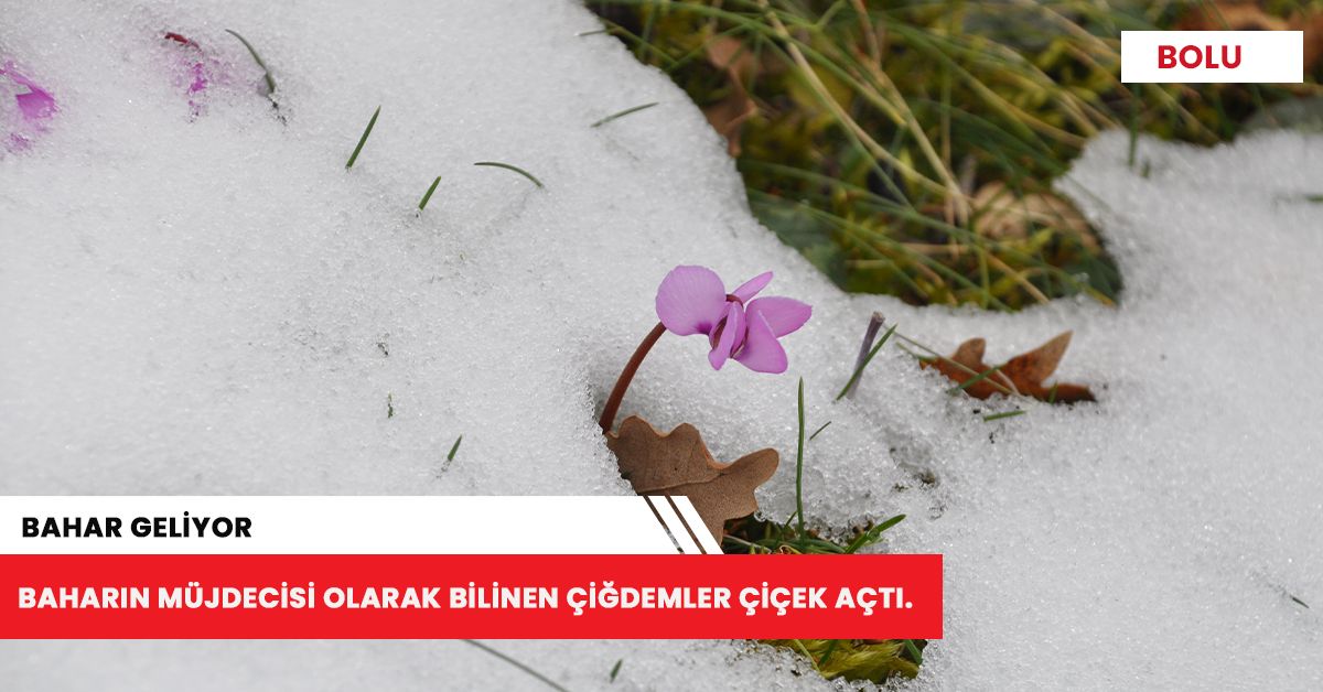 Müjde 