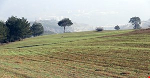 Son yağışlar çiftçinin yüzünü güldürüyor