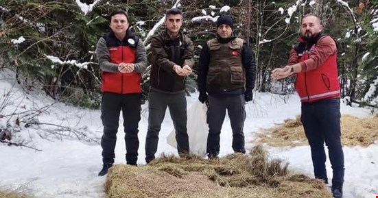 Yaban  hayatı unutulmadı