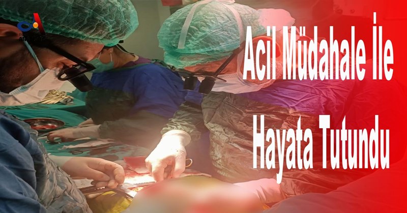 Acil Müdahale İle Hayata Tutundu