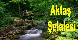 Aktaş Şelalesi