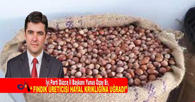" FINDIK ÜRETİCİ HAYAL KRIKLIĞINA UĞRADI"