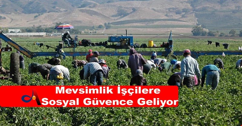 Mevsimlik İşçilere Sosyal Güvence Geliyor