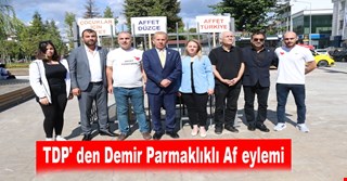 TDP' den Demir Parmaklıklı Af' eylemi