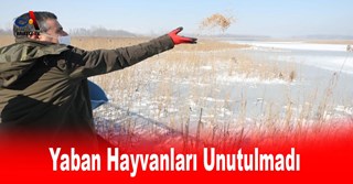 Yaban Hayvanları Unutulmadı