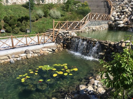 2 Şubat Dünya Sulak Alanlar Günü Kutlanıyor