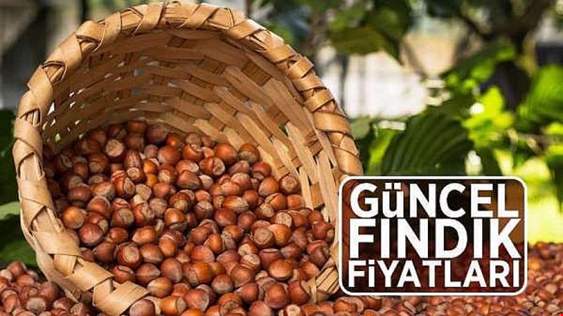 6 NİSAN 2021 SALI İL İL FINDIK FİYATLARI