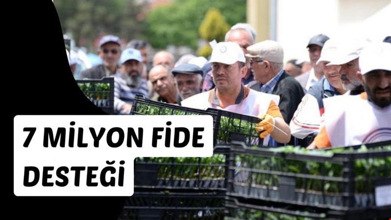 7 MİLYON FİDE DESTEĞİ