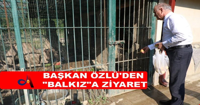 BAŞKAN ÖZLÜ'DEN "BALKIZ"A ZİYARET