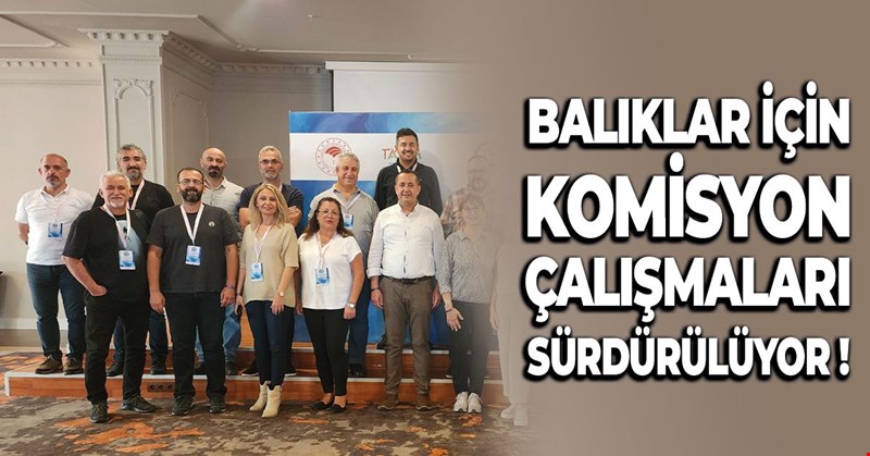BALIKLAR İÇİN KOMİSYON ÇALIŞMALARI SÜRDÜRÜLÜYOR !