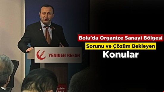 Bolu'da Organize Sanayi Bölgesi Sorunu ve Çözüm Bekleyen Konular