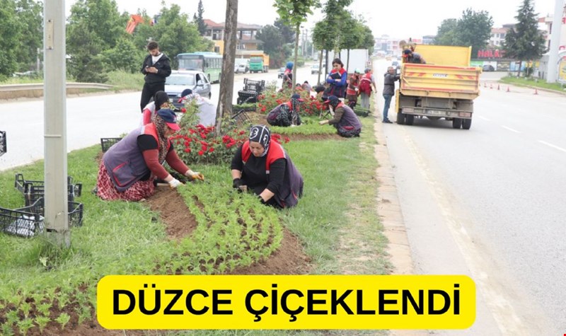DÜZCE ÇİÇEKLENDİ ANA ARTERLERE ÇİÇEK VE AĞAÇ DİKİMİ