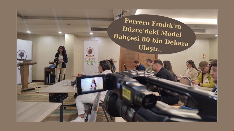 Ferrero Fındık'ın Düzce'deki Model Bahçesi 80 bin Dekara Ulaştı..