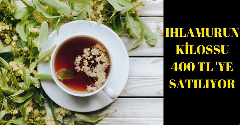 IHLAMURUN KİLOSUS 400 TL'YE SATILIYOR!