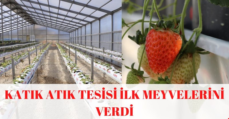 KATI ATIK TESİSİ İLK MEYVELERİNİ VERDİ