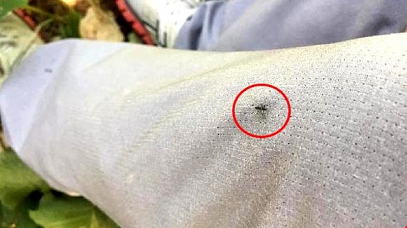 KARADENİZ DE RİSK ALTINDA