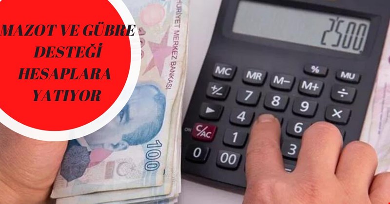 MAZOT VE GÜBRE DESTEĞİ HESAPLARA YATIYOR!