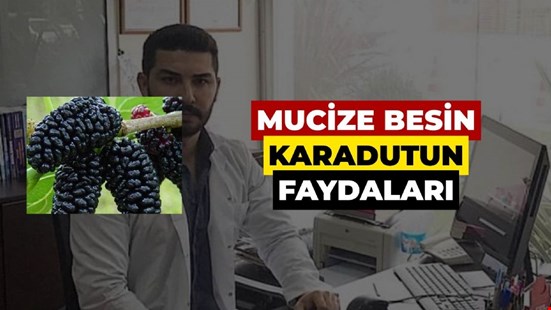 MUCİZE BESİN KARADUTUN FAYDALARI