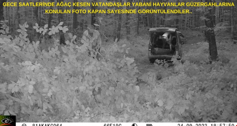Orman'da Gece saatlerinde ağaç kesen vatandaşlar FOTO kapana böyle yakalandı...