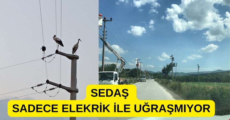 SEDAŞ, SADECE ELEKTRİK ÜRETMİYOR.