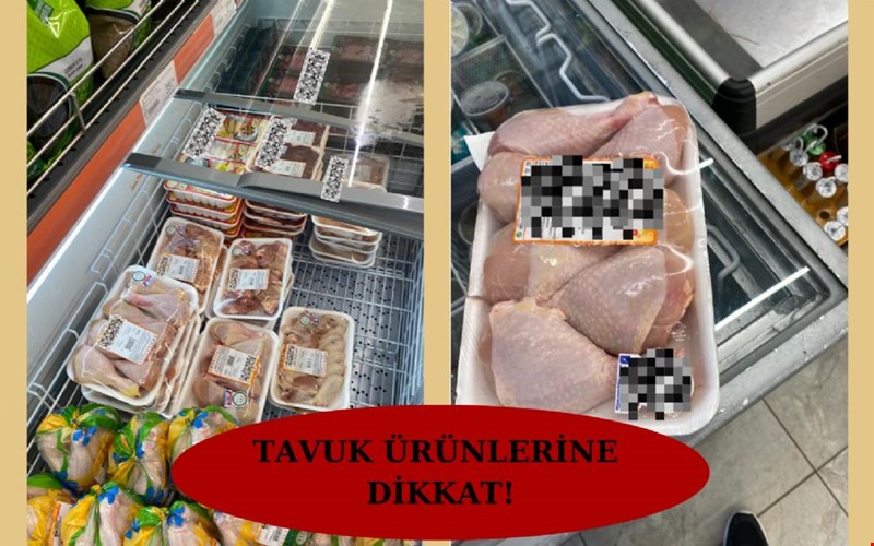 TAVUK SATIN ALIRKEN DİKKAT!